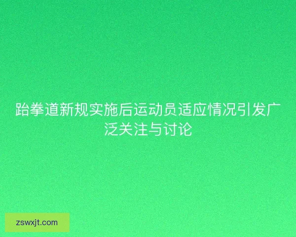 跆拳道新规实施后运动员适应情况引发广泛关注与讨论